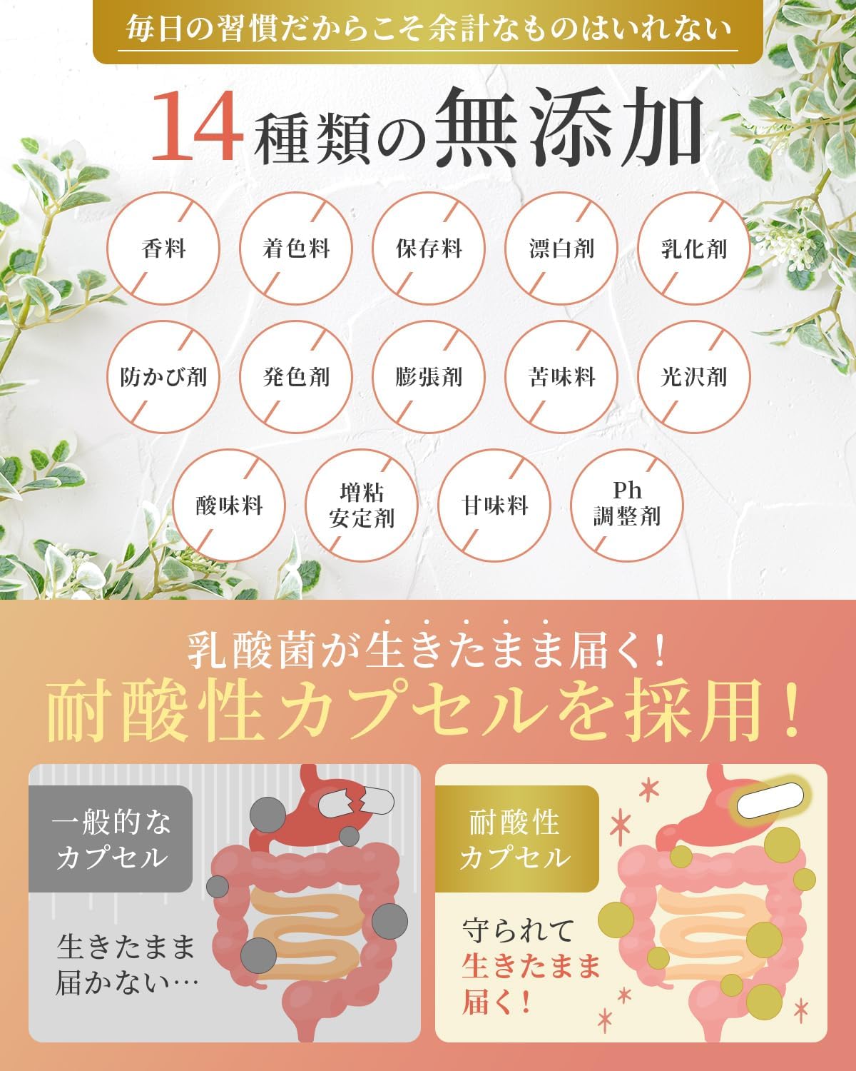 【For Delicate Women's Concerns】 Femipure Lactobacillus Crystapus Bifidobacteria Supplement, 2.5 Trillion Pieces, 30 Day Supply, Made in Japan, Bacterial Activity, Femcare, Oligosaccharides, Euglena