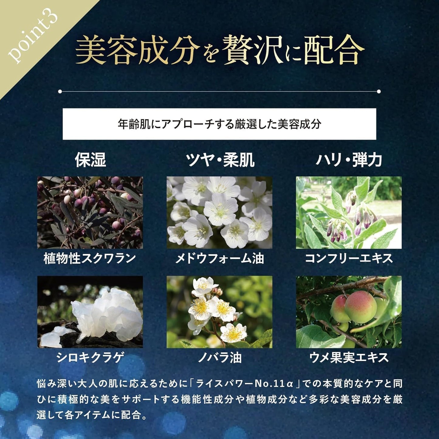 Riceforce Official Premium Perfect Cream (1.1 oz (30 g) / Approx. 2 Months Supply / Quasi Drug, Rice Power No.11α, Aging Care, Thick Moist Type, Highly Moisturizing, Rough Prevention (RICEFORCE)