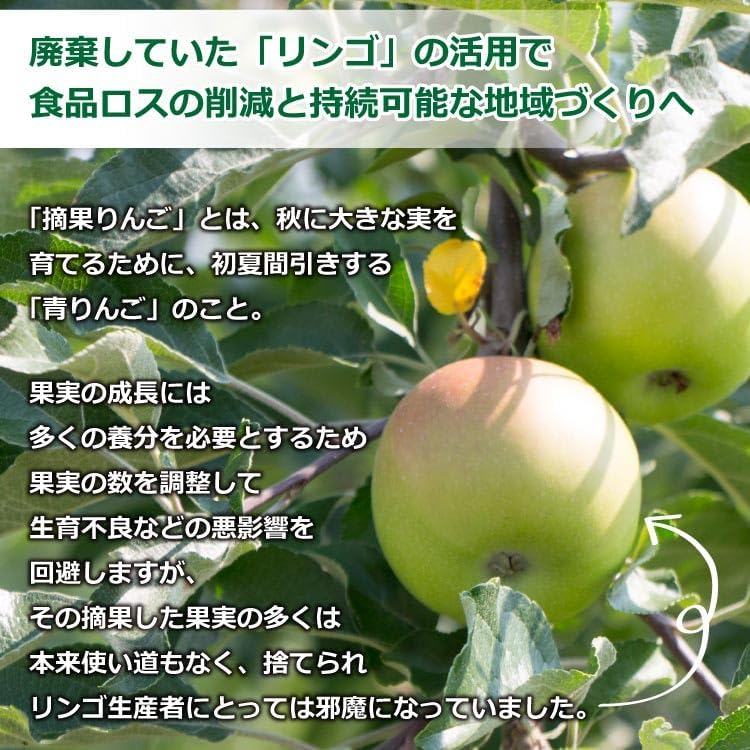 Apple Virgo (Large) Pack of 16 (Other)
