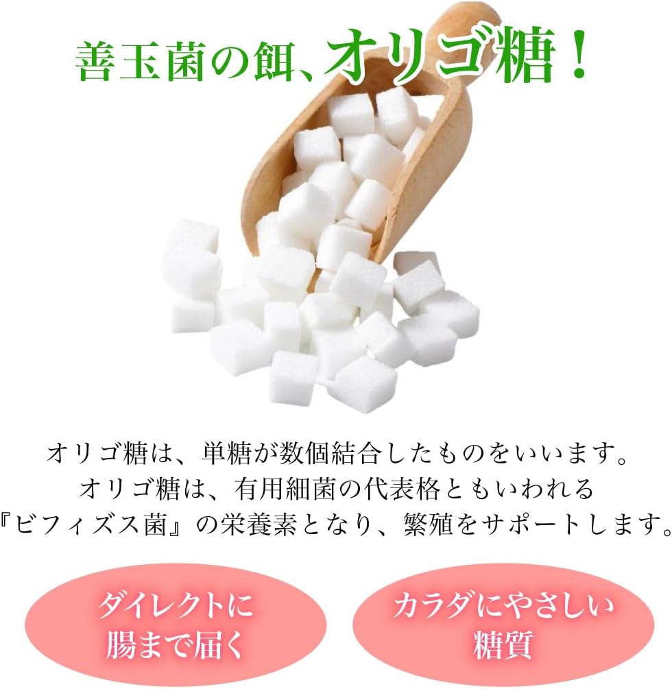 Lactic Acid Bacteria + Oligosaccharide Supplement (22 Types, Nano-type Lactobacillus 3 Trillion Tablets, Made in Japan, Approx. 1 Month Supply, 60 Tablets, Fructo-Oligosaccharide, Bifidobacteria