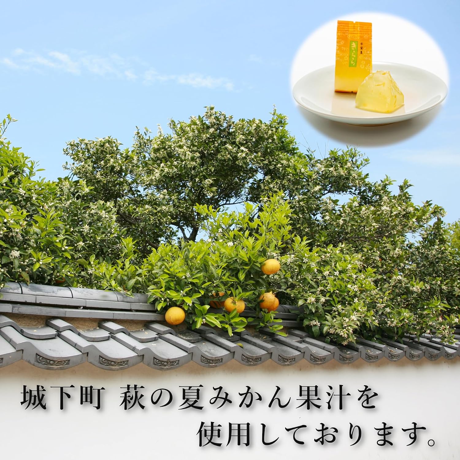 Yamaguchi Summer Mandarin Kira, Pack of 12, Souvenirs, Made with Hagi Summer Mandarin Juice, Fruit Jelly, Individual Packaging, Sweets, Gifts, Gifts, Souvenirs, Mid-Year's Day
