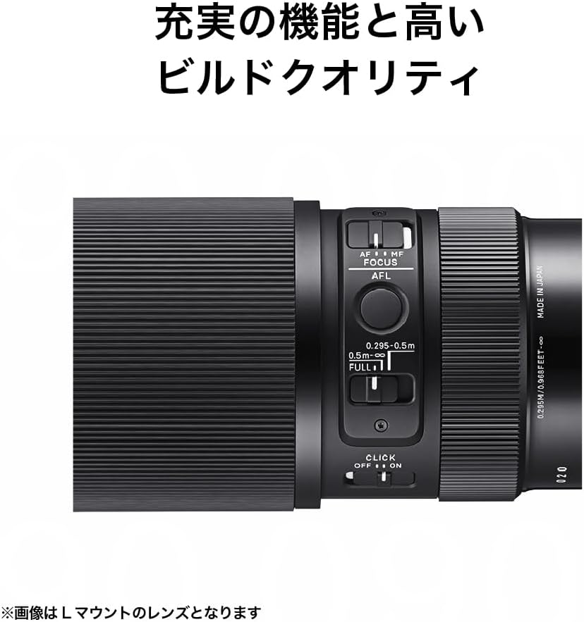 Sigma Sony E-Mount Lens 105mm F2.8 DG DN MACRO Monofocal Telephoto Full Size for Art Mirrorless