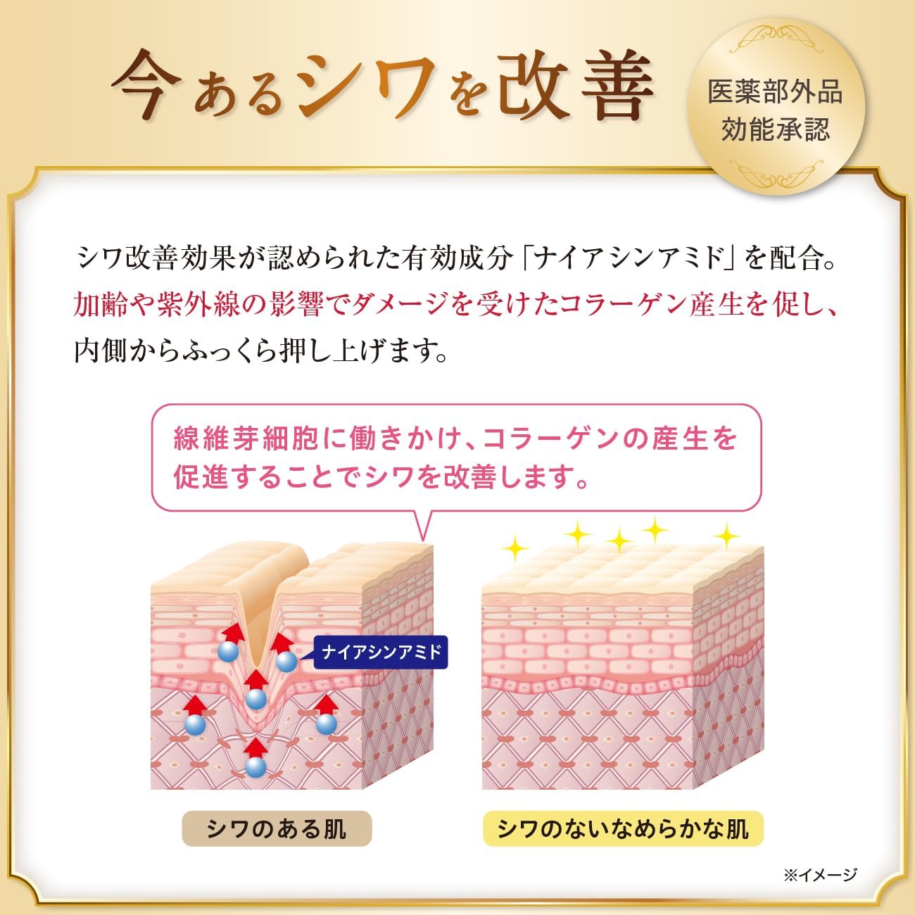 SEAC Setagaya Natural Foods Wrinkle Improvement All-in-One Morning Use (0.9 oz (25 g) / Approx. 1 Month Supply, Quasi-Drug, Moisturizing (Beauty Serum, Cream), Niacinamide, Collagen, Makeup Base,