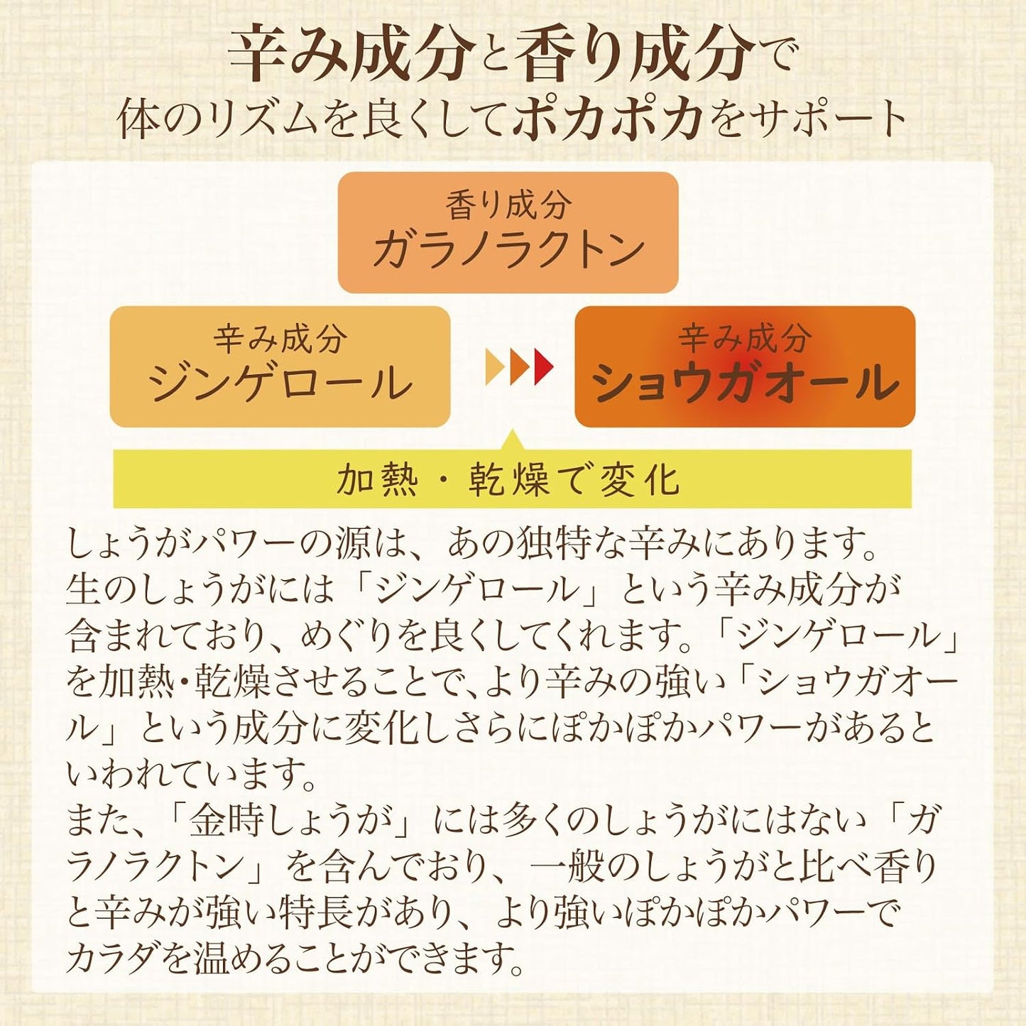Shimanoya Ginger Vinegar (1 bag, 62 bulbs per month), Kintoki Ginger, Moromi Vinegar, Amino Acid, Citric Acid, Made in Japan
