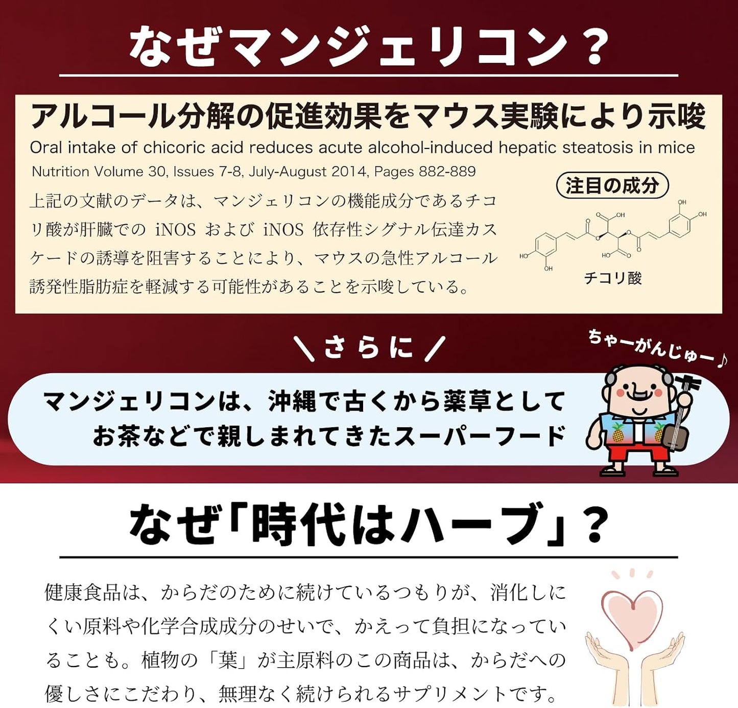 マンジェリコン モリンガ配合 タブレット 【有機JAS認証】 国産 沖縄県産 90粒入（1ヶ月分）