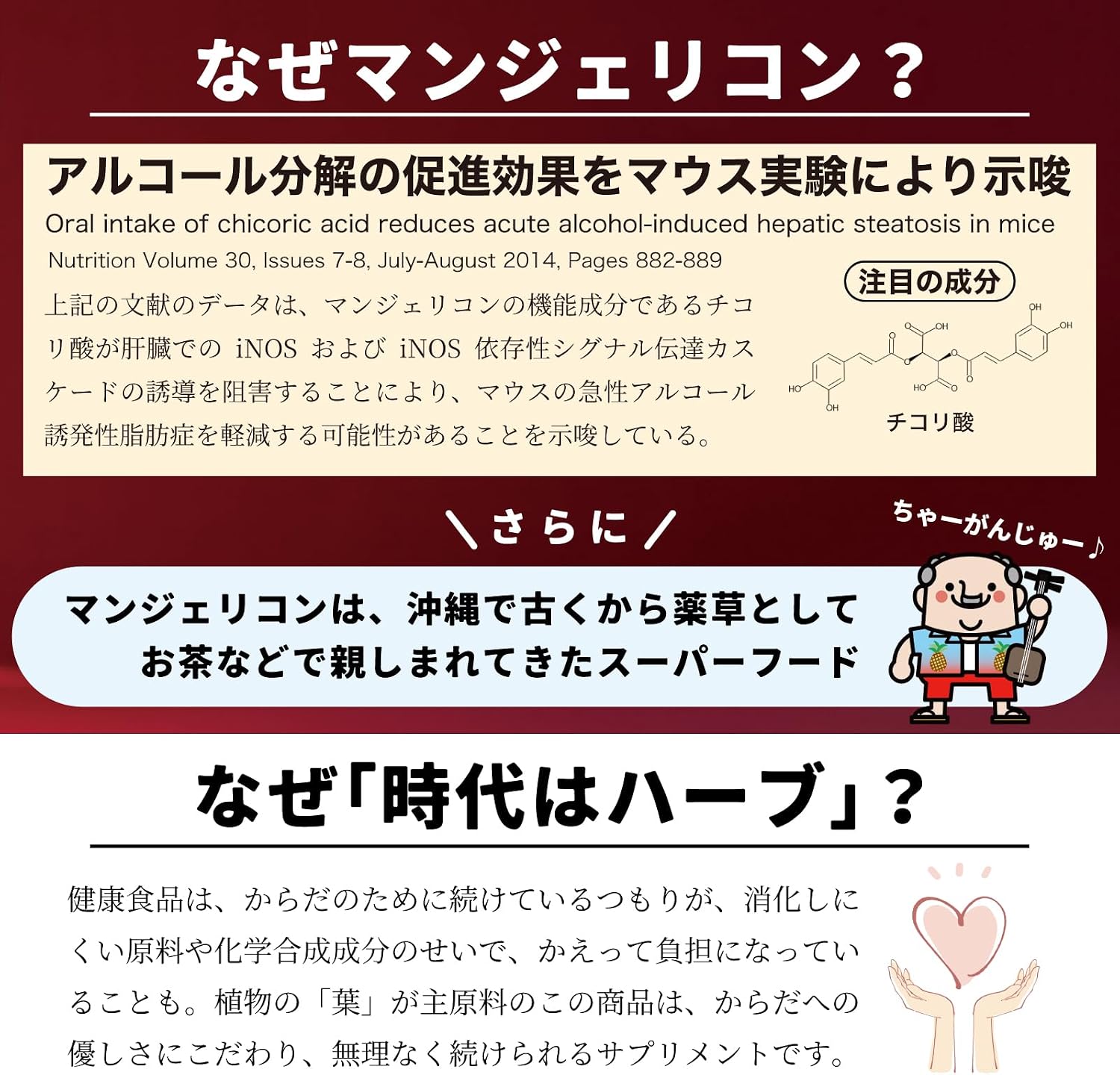 マンジェリコン モリンガ配合 タブレット 【有機JAS認証】 国産 沖縄県産 90粒入（1ヶ月分）