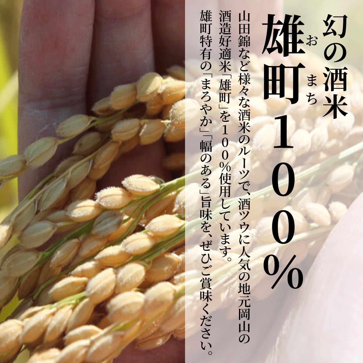 Sanzen Sanzen Uomachi Drinking Comparison Set Mini Momotaro Label Junmai Daiginjo Special Junmai 100ml x 2 Bottles [Japanese Sake Okayama Prefecture Kurashiki City Kikuchi Sake Brewery] [Gift Box
