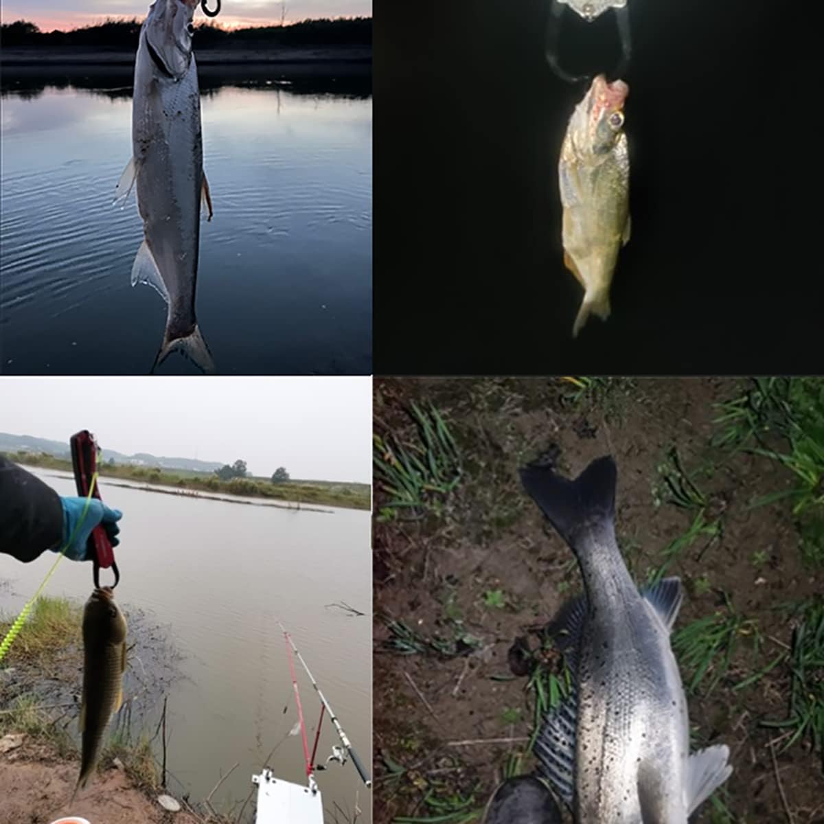 Bait Reel Sea Bass Fishing Right Handle Max Drag Force 6kg Gear Ratio 7:2:1 Lightweight Casting (Right)