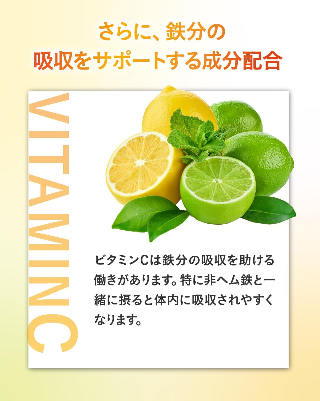 ltolo Iron Supplement (Liposum Iron, Hemmed Iron, 60 Tablets, 30 Day Supplement), Zinc, Folic Acid, Vitamin C, Made in Japan, Women's, Men's, Totoro (1 Bag (30 Day Supply))