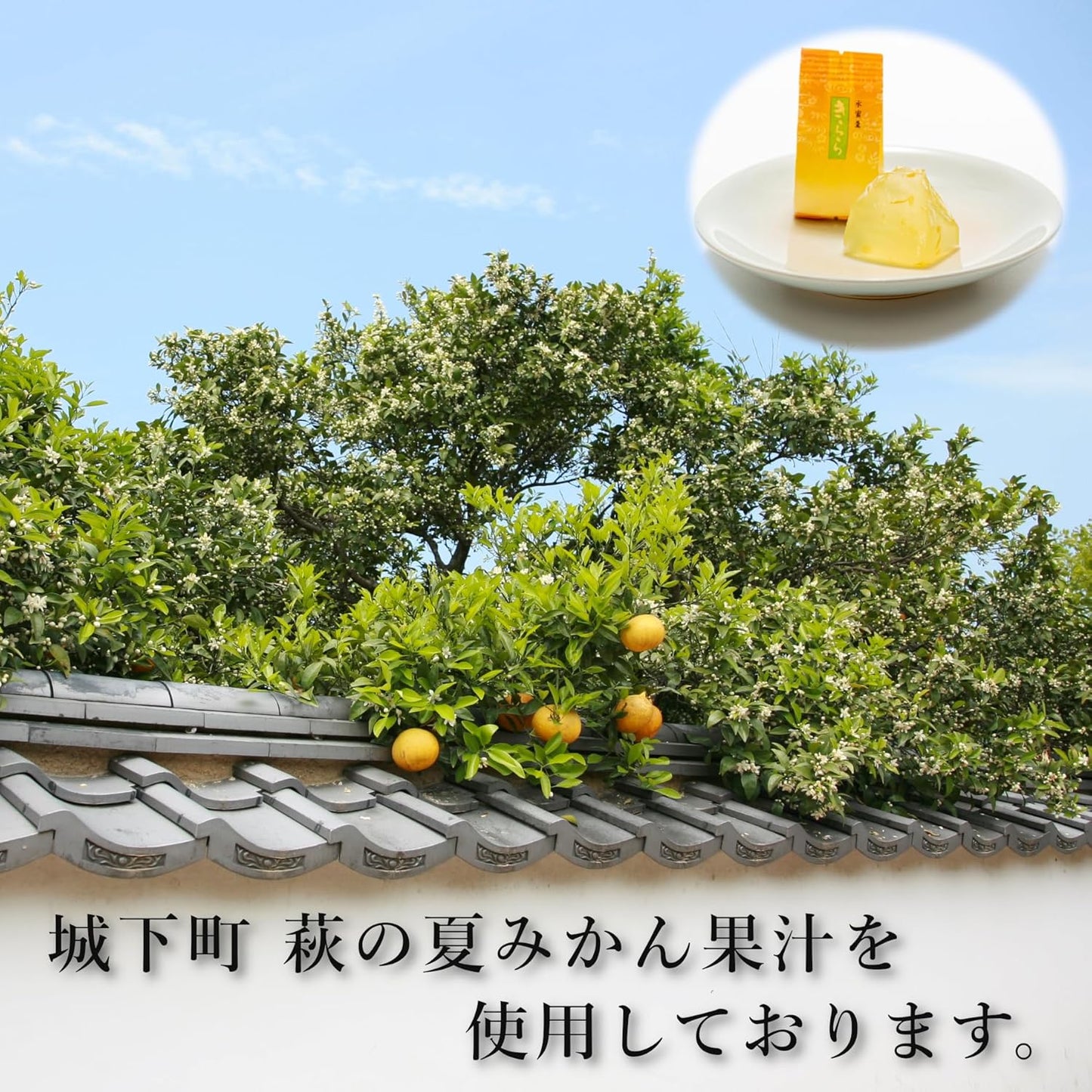 Yamaguchi Summer Mandarin Kira, Pack of 12, Souvenirs, Made with Hagi Summer Mandarin Juice, Fruit Jelly, Individual Packaging, Sweets, Gifts, Gifts, Souvenirs, Mid-Year's Day