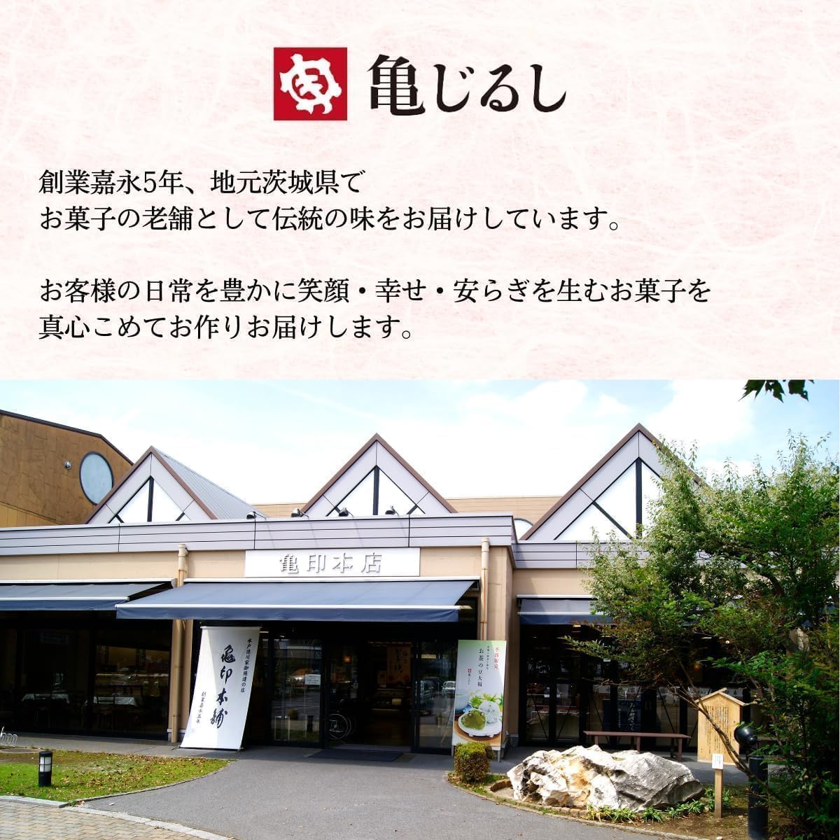 Kame Jirushi Official: Ibaraki Cheese Cookies (10 pieces) Creamy Chocolate with Rich Cheese Flavor, Individually Wrapped, Gift from Ibaraki
