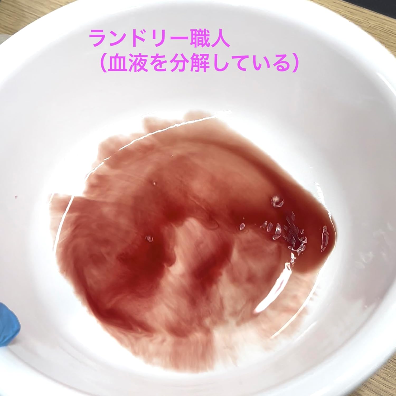 Laundry Artisan Jugal 16.9 fl oz (500 ml), Blood Washer, Laundry Tank, Drain Pipe