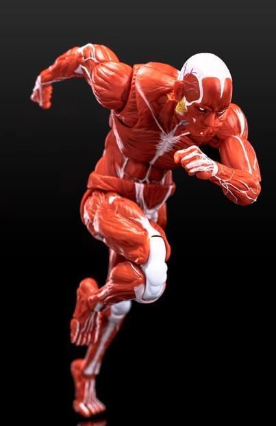 LEBOO 1/12 Toyocho Keeping Male Action Body Muscle Body for Movable Action Figures, Red