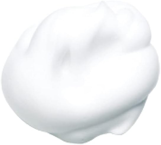 Kanebo Refreshing Creamy Wash a Face Wash 4.6 oz (130 g)