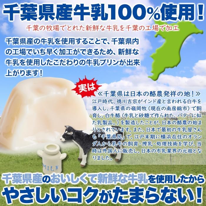 Tennensei Bite-Sized Milk Pudding (40 pieces) Chiba Prefecture Produced Rich Dairy Product Large Capacity Simple Packaging Dessert Snack Western-style Cake Room Temperature Storage Milk Pudding
