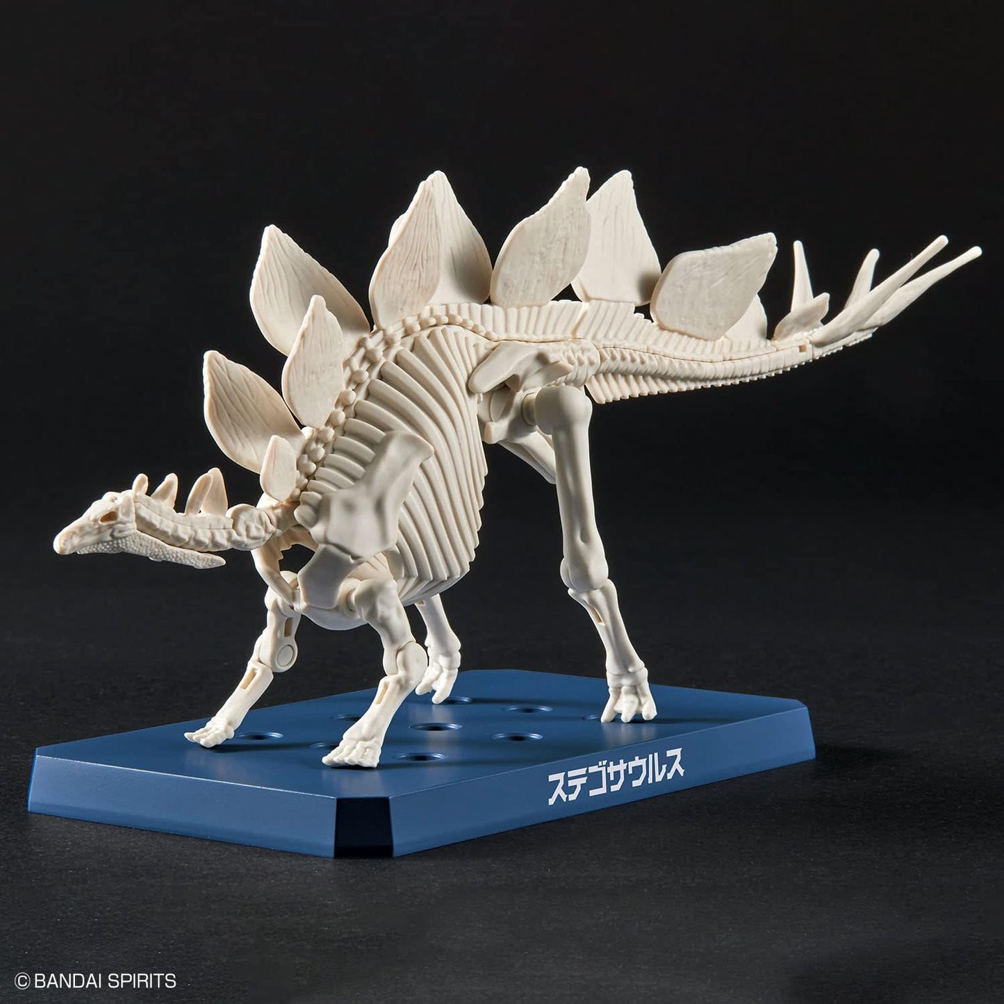Bandai Spirits Planosaurus Stegosaurus Color Coded Plastic Model