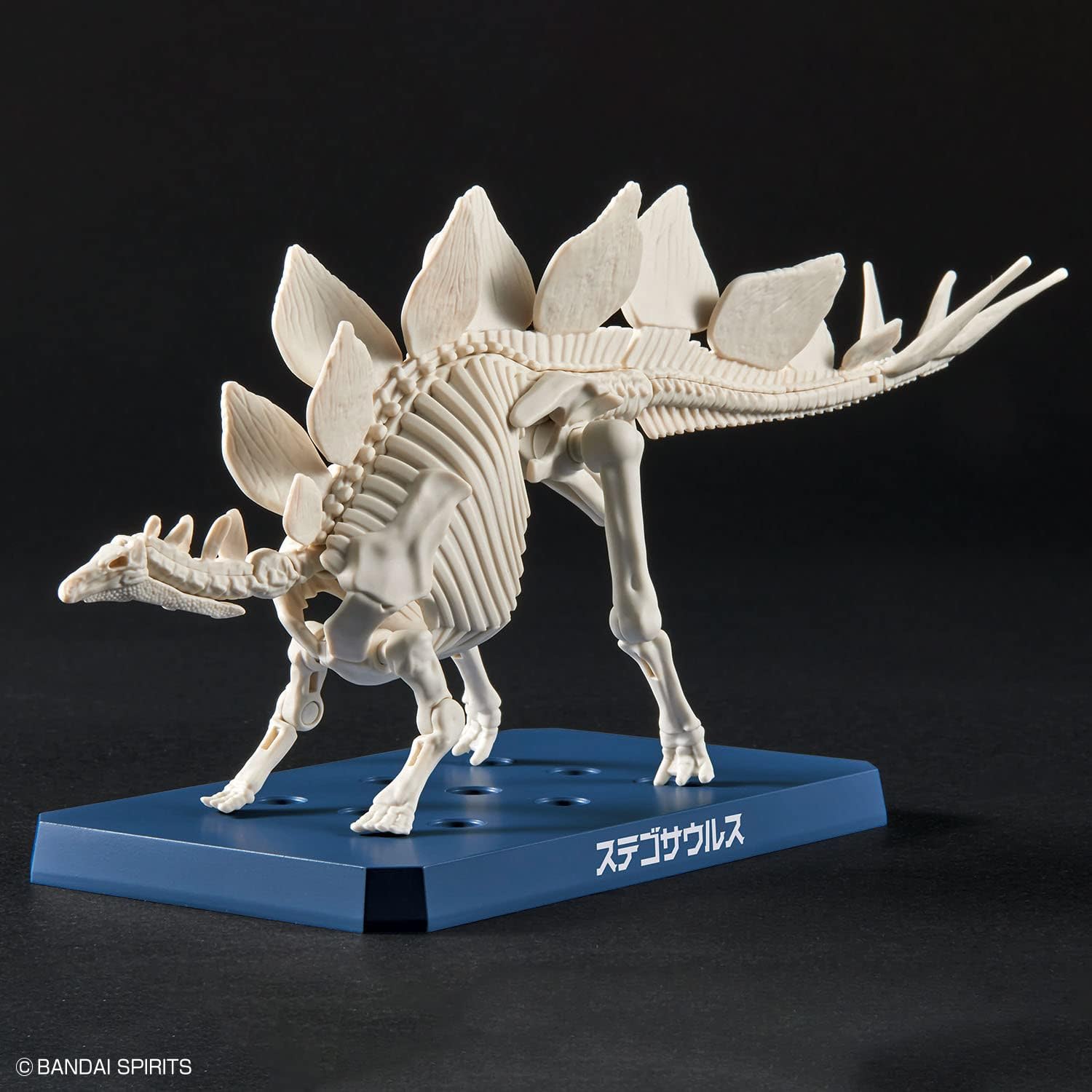 Bandai Spirits Planosaurus Stegosaurus Color Coded Plastic Model