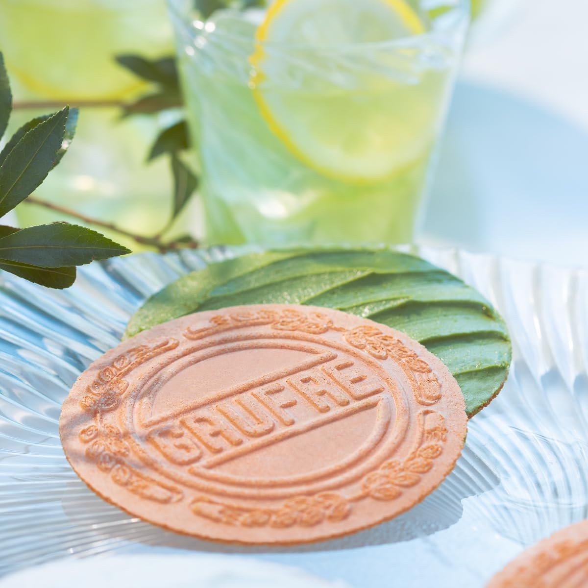 Uenogudo Sweet Selection 11 Types of 14 Pieces, Summer Gift, Mid-Year-Round Sweets, Sweets, Baked Confectionery, Present, Ueno Kogudo Summer, Coconut Milk, Matcha Citrus, Retirement, Inner Celebration