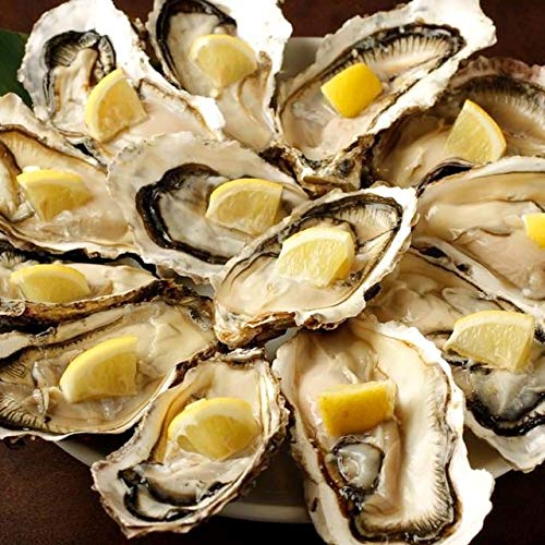 繁盛店に「職人」はいらない (どんな立地・予算でも飲食店に客を集める成功メニューの鉄板法則)