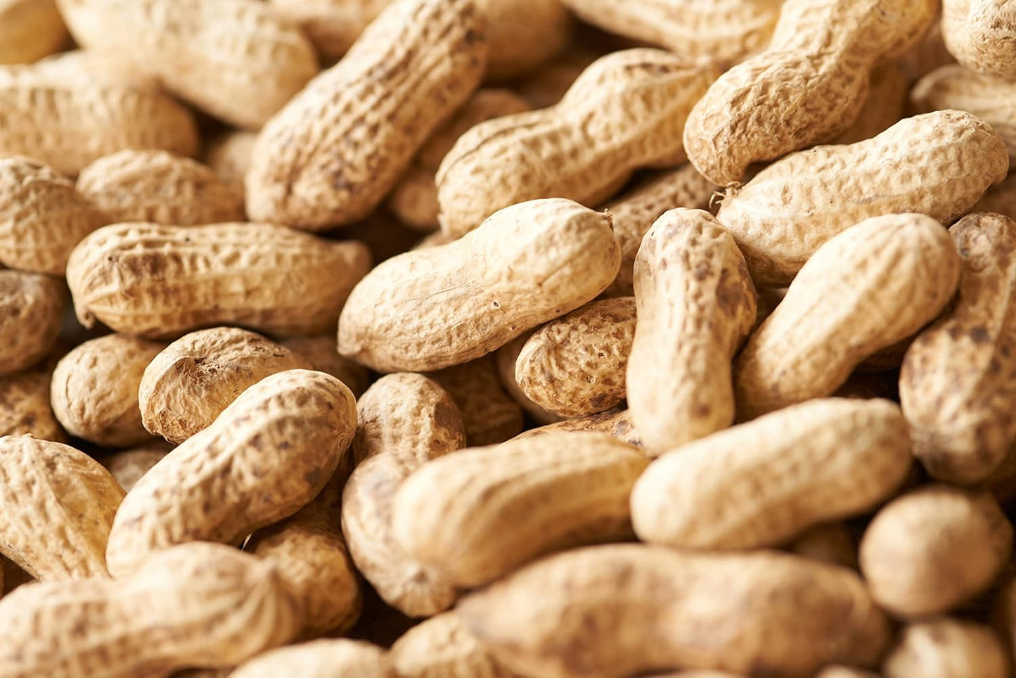 Mamesho Namagakata Chiba Yachimata-grown Peanuts Top-grade Variety Chiba Handachi Roasted Peanuts Chiba Handachi 200g Only contracted farmers used Manufactured in our own factory Roasted by skilled