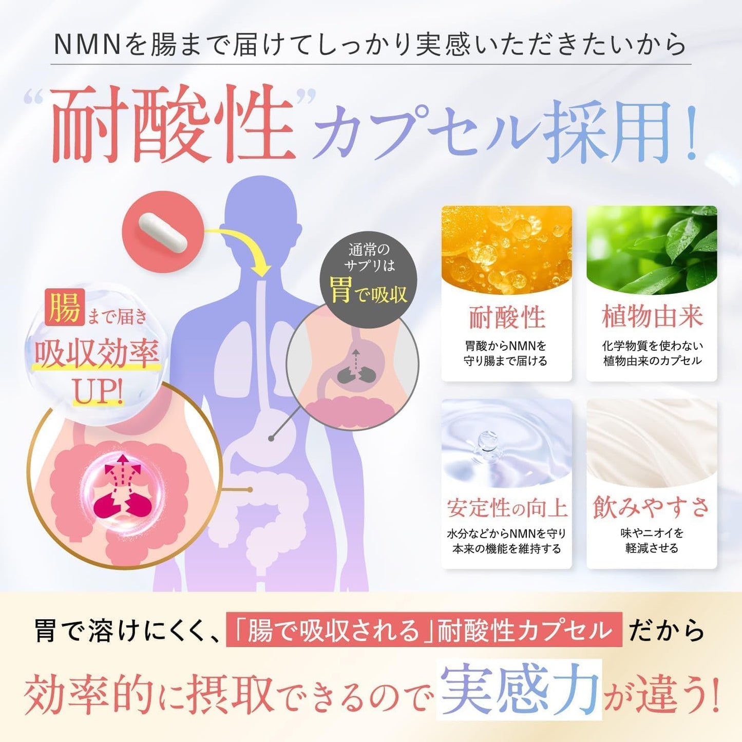 【医師監修】 NMN PREMIUM 23,000㎎ 日本製 高純度99.9% 腸まで届く耐酸性カプセル 1本90カプセル 約30日分 純度証明書 ビタミンC ヒアルロン酸 コラーゲン プラセンタ ローヤルゼリー ビタミンA リコピン アスタキサンチン エラスチン クロレラ サプリメント 国内GMP認定工場 新日本ヘルス (NMN23,000mg×2本)