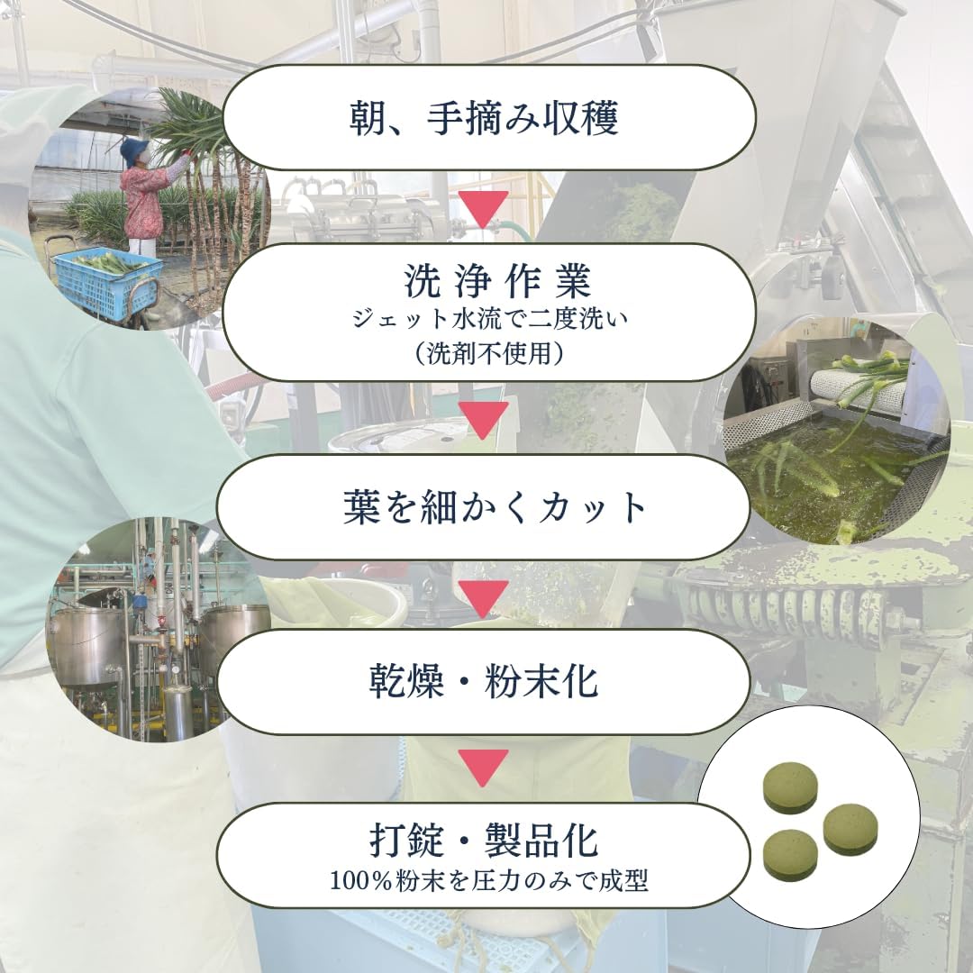 My Organic Kidachialoe Vera 100%, 540 Capsules, Approximately 90 Day Supply, Produced in Shimanto, Kochi Prefecture, Supplement, Chemical Fertilizer, No Pesticides, Organic JAS Value