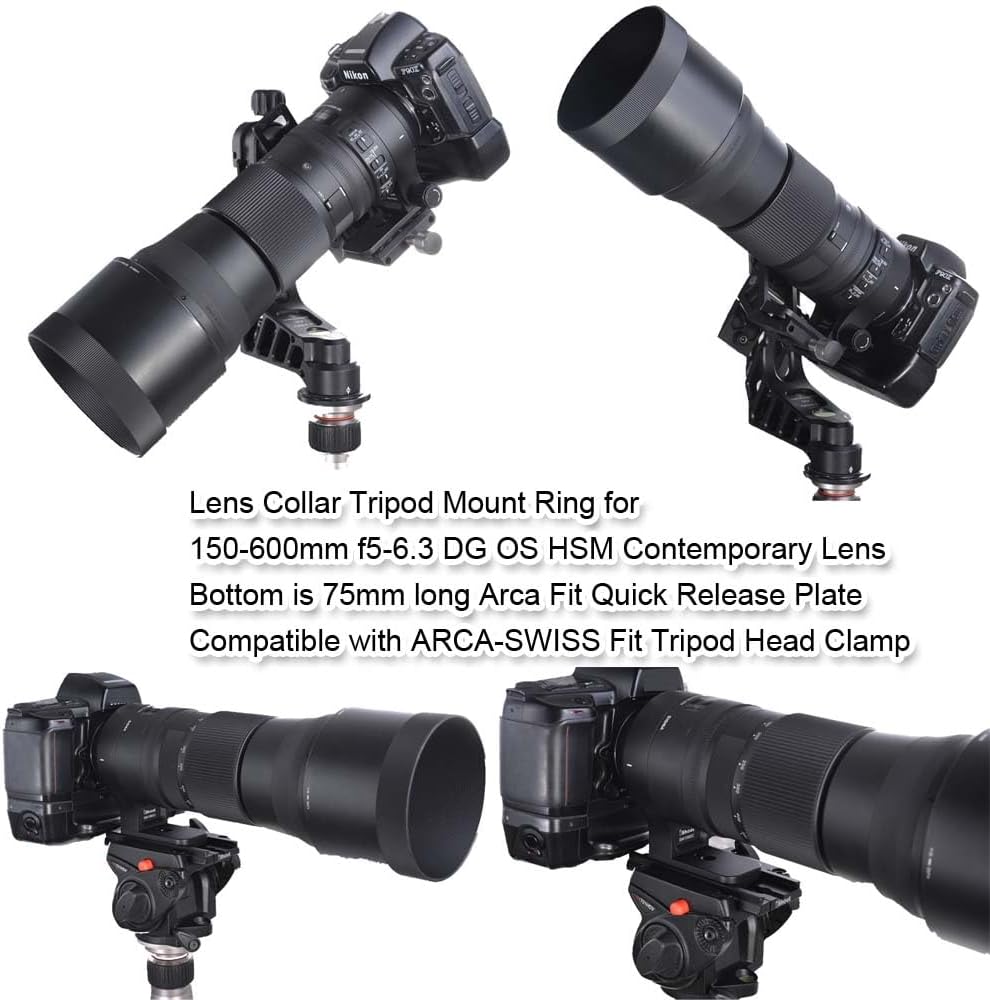 Ring tripod is compatible with Sigma Lens, 150-600mm f/5-6.3 DG OS HSM Contemporary TS-71 Lens, Lens Support Collar, Tripod Mount Ring, Bracket Collar, Tripod Socket, Bottom is Arca Swiss Type Quick