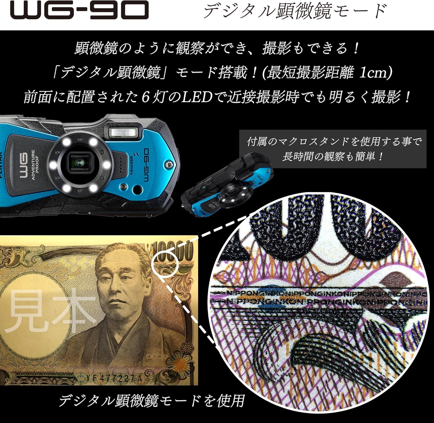 PENTAX WG-90 Blue [Protector Jacket Set] Genuine Waterproof Digital Camera, 39.8 ft (14 m) Waterproof (2 Hours Continuously), 3.6 ft (1.6 m), Shockproof, Dustproof, Cold Resistant to -10°C, Outdoor