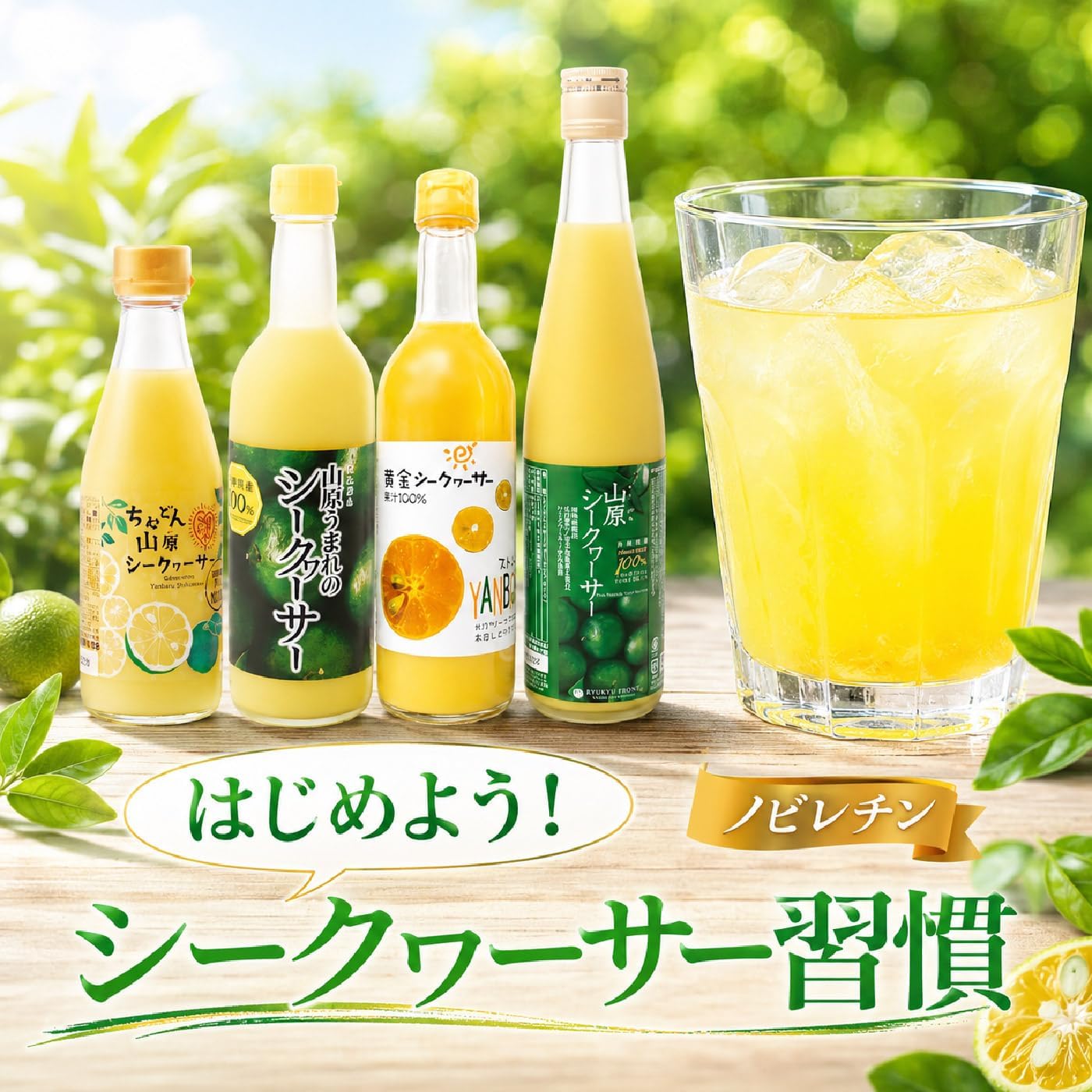 Ryukyu Front Chimudon Yamahara Seaquacer, 10.1 fl oz (300 ml) x 4 Bottles