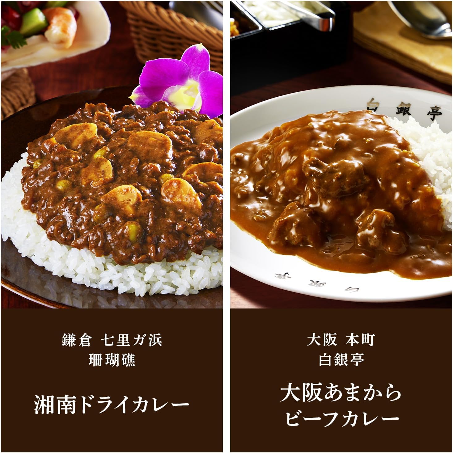 S&B エスビー食品 噂の名店シリーズ カレー&ハヤシ 全国10種セット※時期によりセット内容に変更あり【限定】