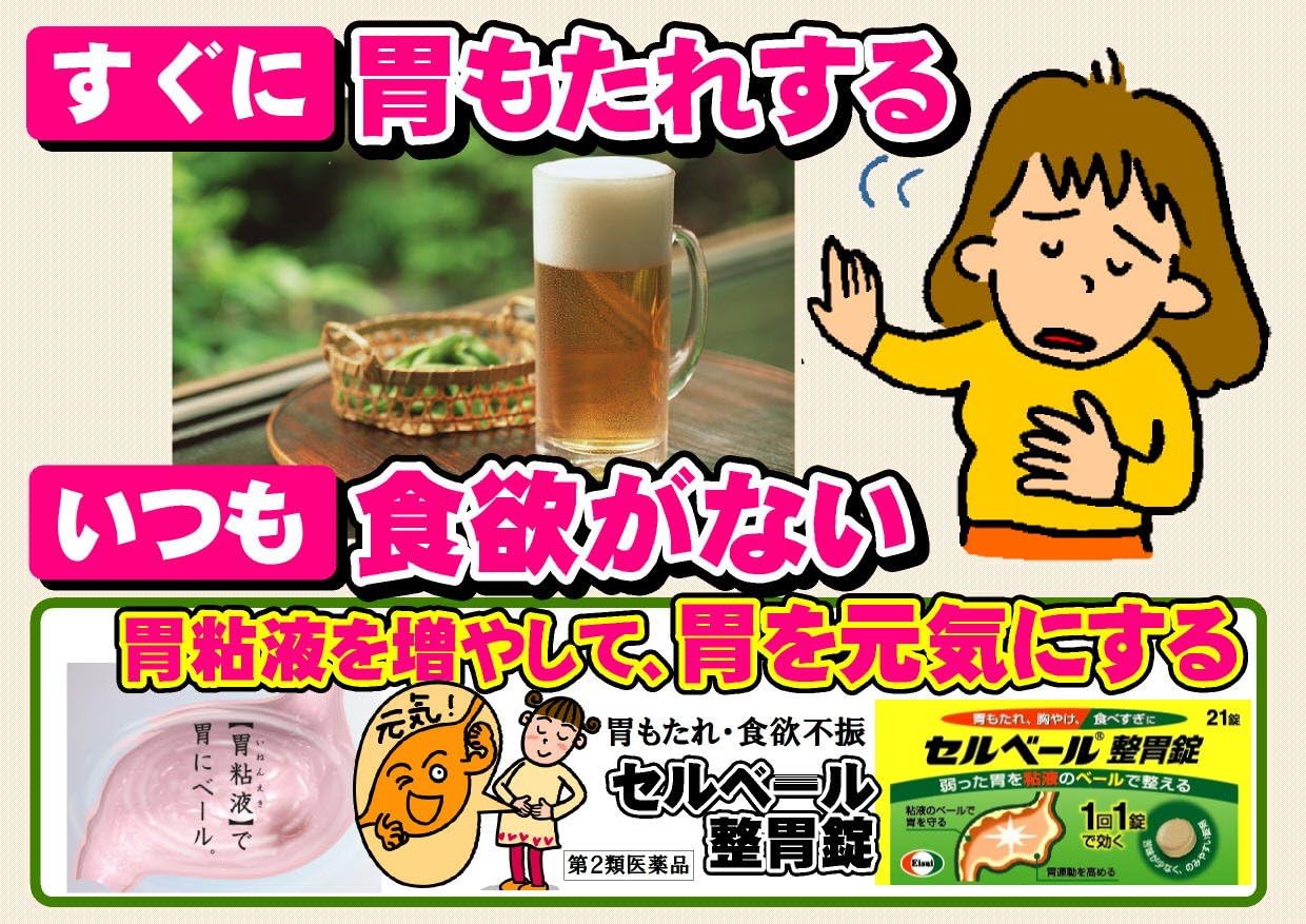 【第2類医薬品】セルベール整胃錠 21錠