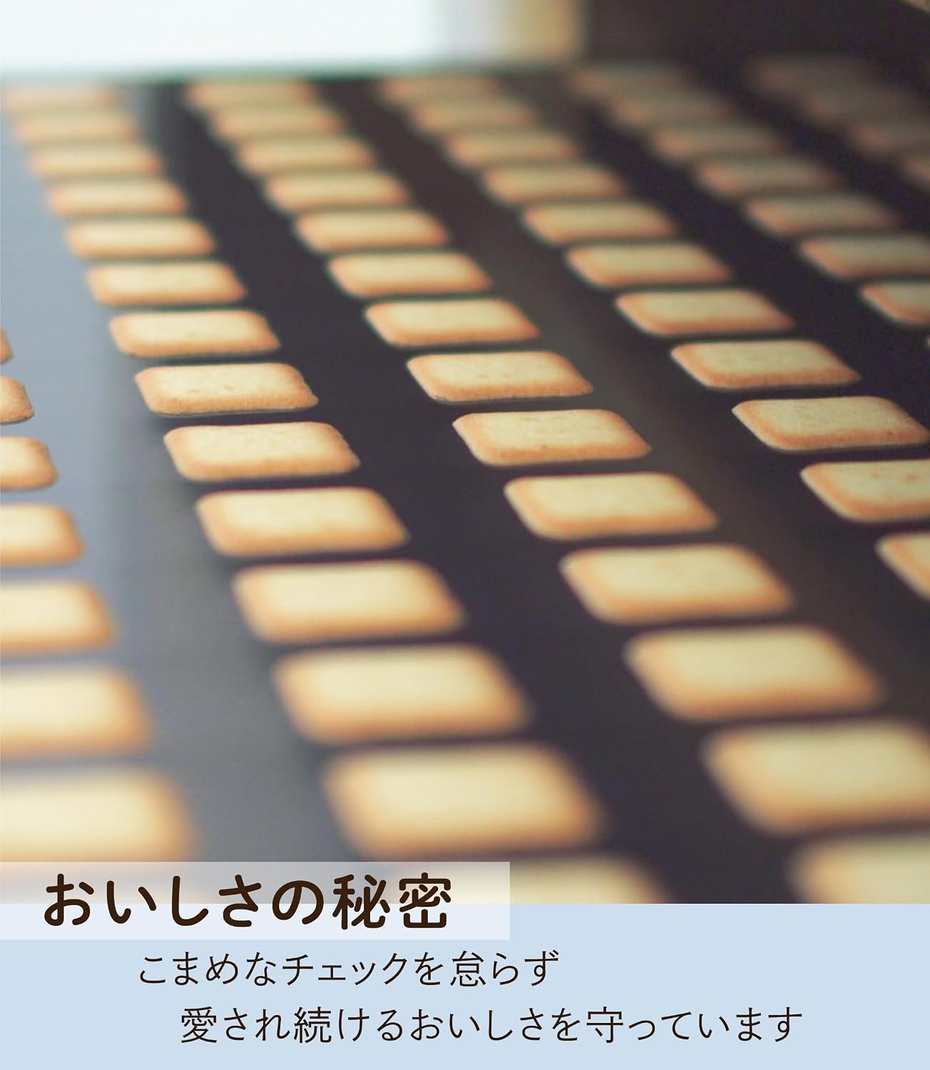 ISHIYA Shiroi Koibito (White), Pack of 12