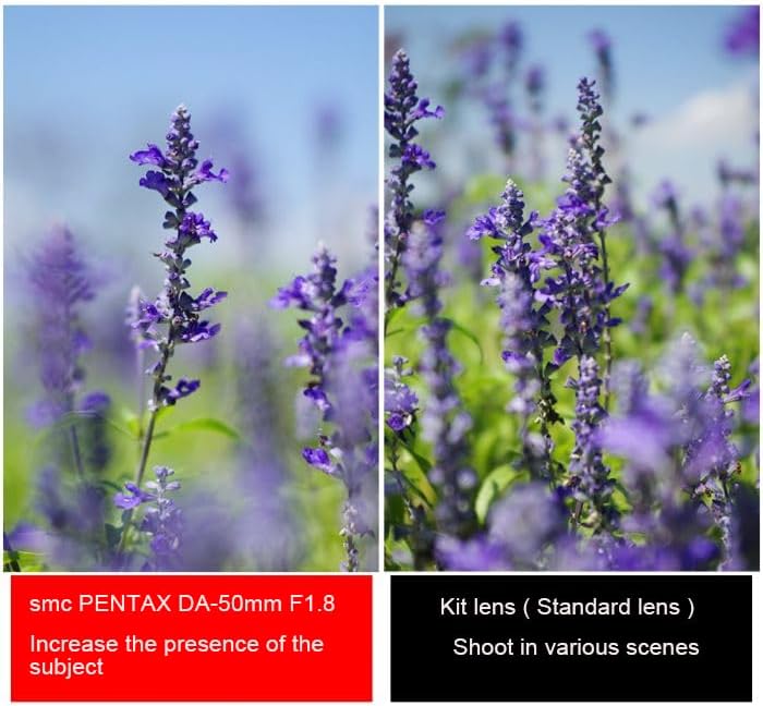 ペンタックス smc PENTAX-DA 50mmF1.8 中望遠単焦点レンズ 【APS-Cサイズ用】【高い描写性能】【うつくしいボケ味・円形絞り】【小型軽量】【ペンタックス一眼Kシリーズはボディ内手振れ補正を搭載】 22177