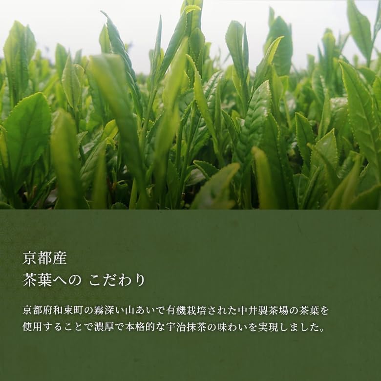 Kyoto Souvenir Hime Chiju Senbei Organic Matcha Crackers by Kogetsu Souvenir Package (12 pieces) / Father's Day Kyoto Souvenir Gift Uji Matcha Online Order Japanese Sweets Ochugen