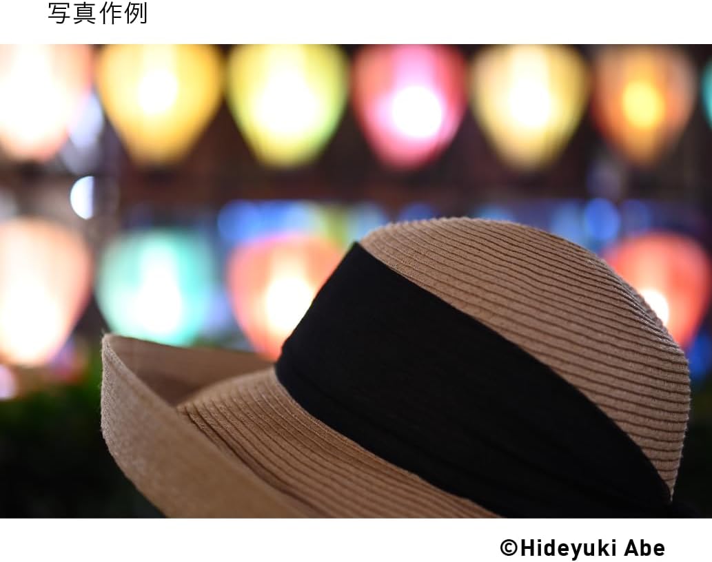 Sigma 30mm F1.4 DC DN | C