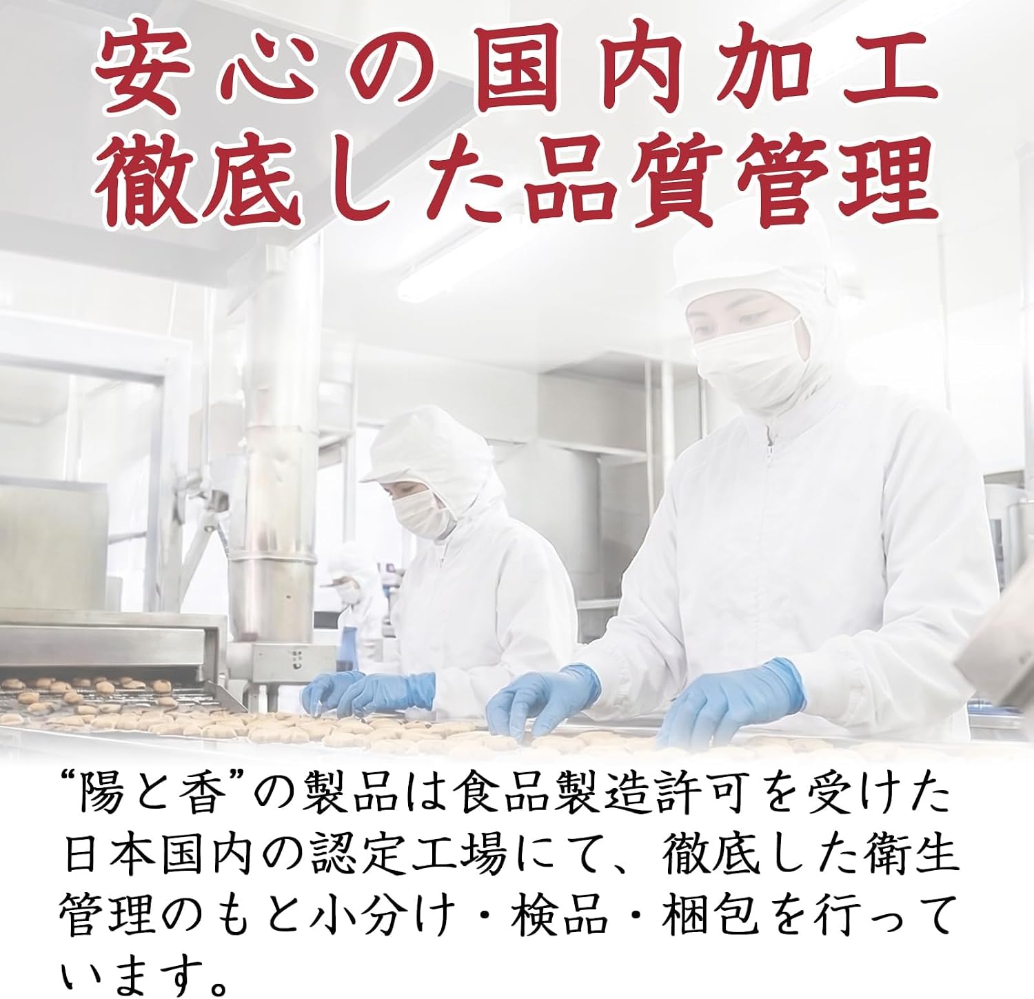 Yotoka Squid Snacks, Cheese, 3.5 oz (100 g), Produced in Hokkaido, Japan, Individual Packaging, Delicious, Grilled Squid, Cheese, Sake, Cheese, Luxury Snacks, Seafood Snacks