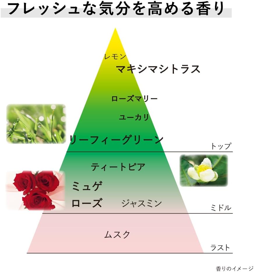 KANEBO Cream In Day Skin Harmonizer Mini Bottle + Live SW II Jar Sample Set (Amaon.co.jp Exclusive)