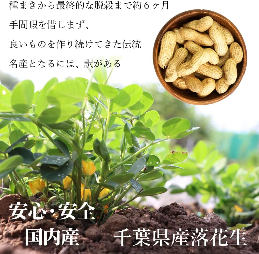 Rich! New Beans Chiba Prefecture Q Natt's Butter Pea 240g'