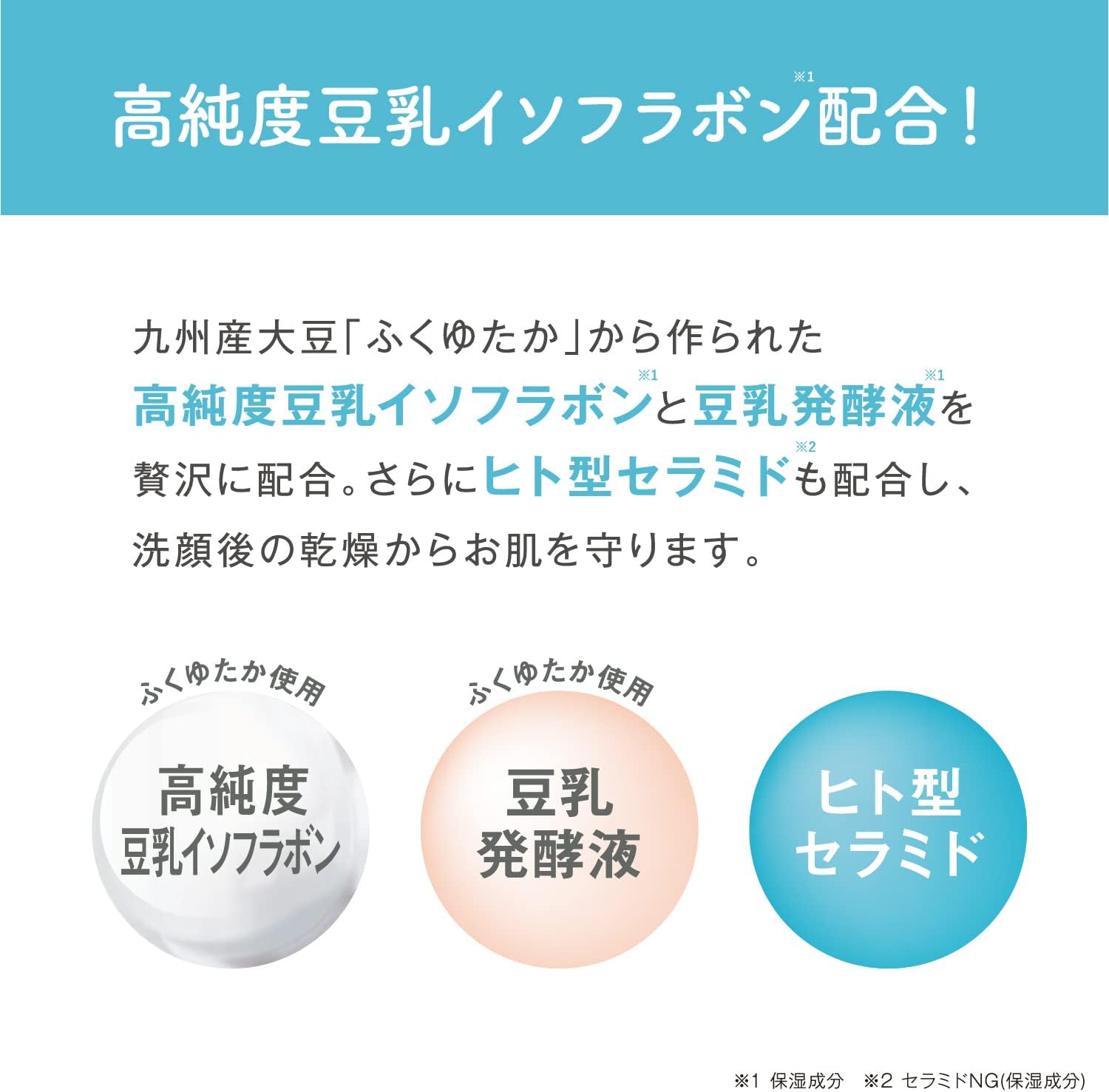 Nameraka Honpo Foam Face Wash NC (Refill)