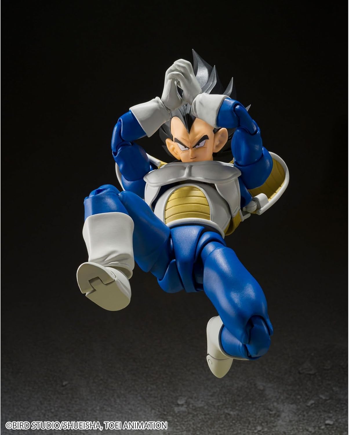 S.H.Figuarts Vegeta 24000 Combat Power