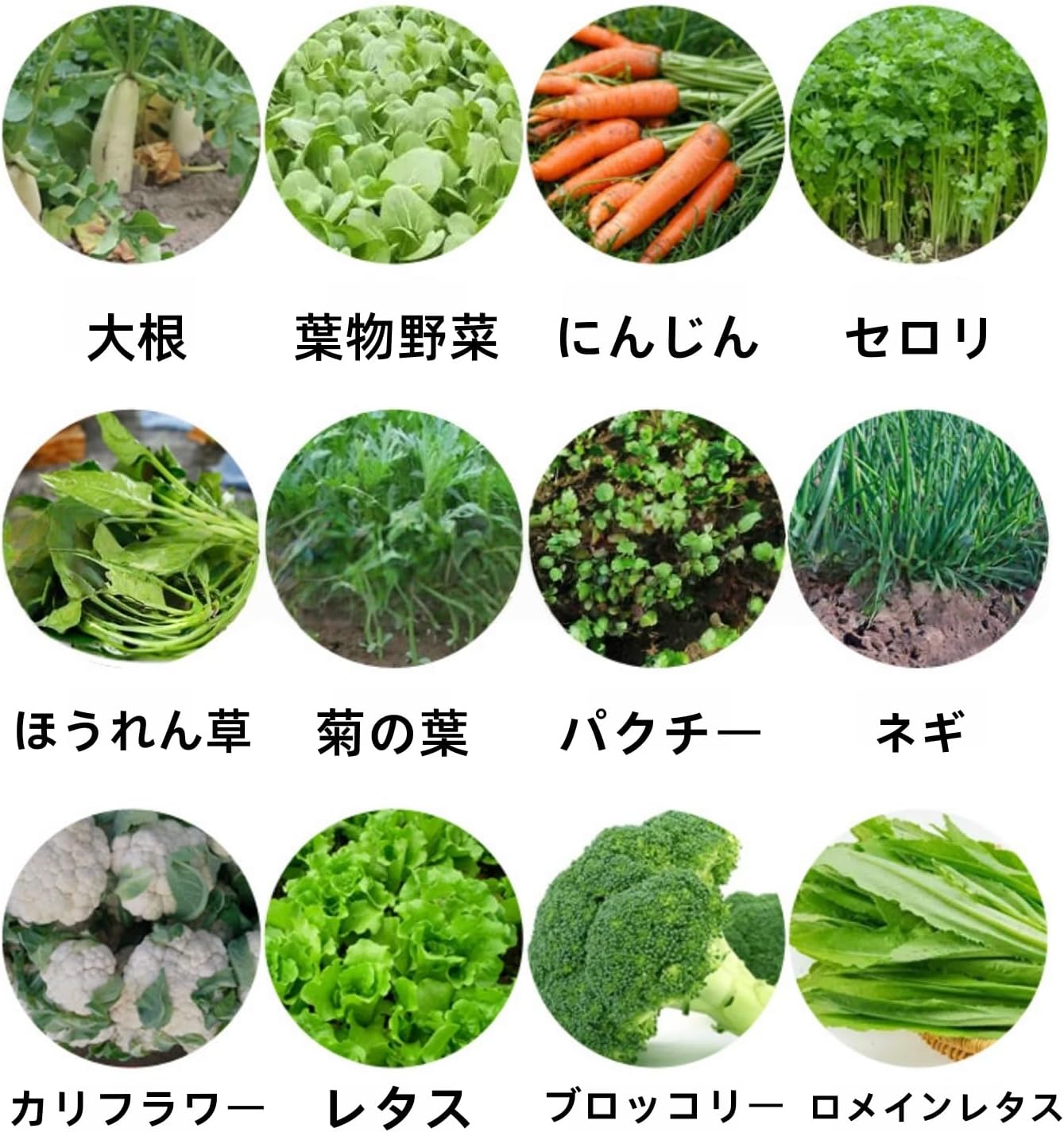 手動野菜播種機野菜 調整可能な植物間隔播種機 小型精密プランター多機能農業ツールレイプニンジン高麗人参ほうれん草キャベツ種まき機 農機具 農業機械 種まき 野菜 大根等 労力を節約 簡単に種まき 家庭菜園 (1列)
