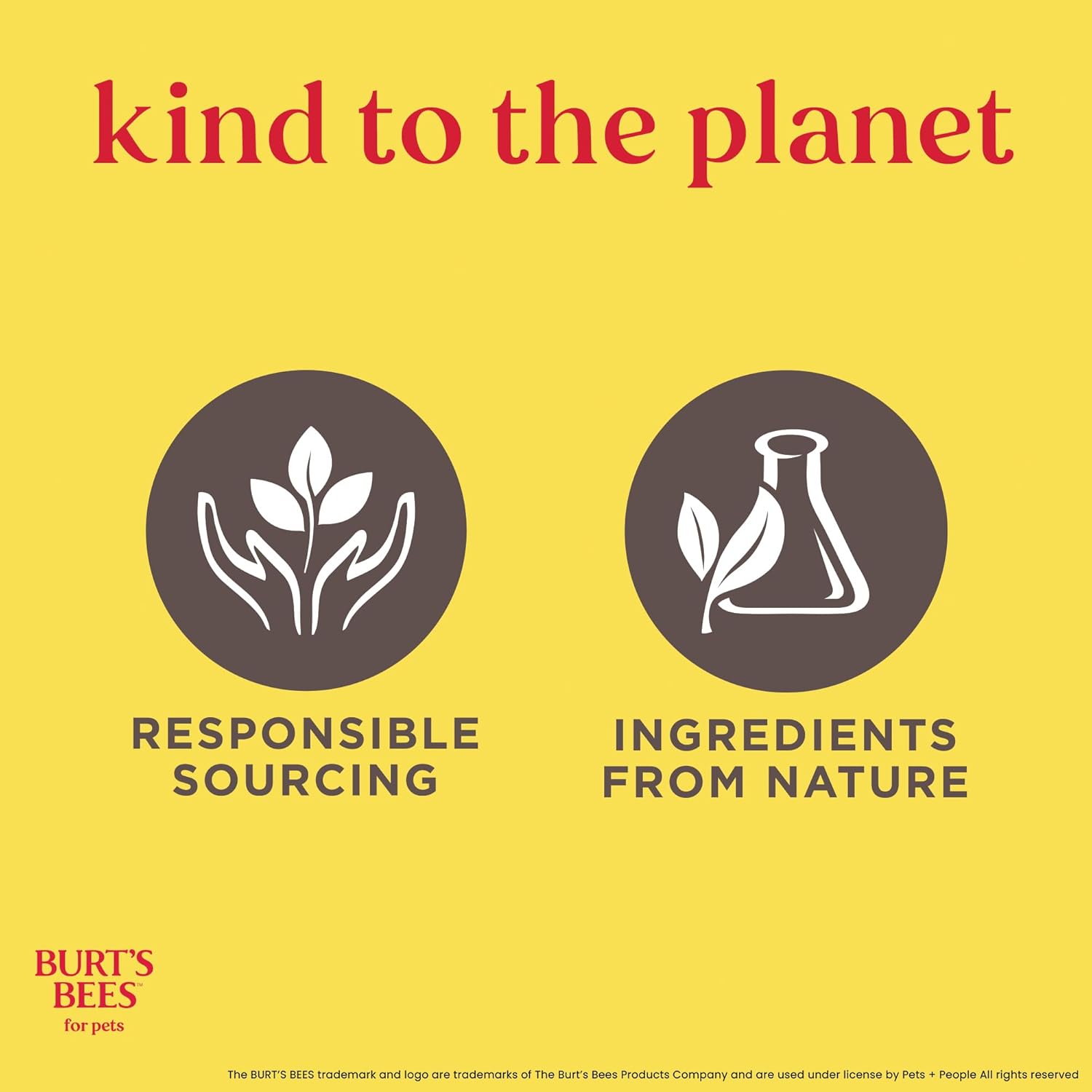 Burt's Bees for Pets Toallitas removedoras de caspa de gato, harina de avena coloidal y aloe para calmar la piel seca y reducir la descamación, paños de aseo sin perfume para gatos y gatitos, 50
