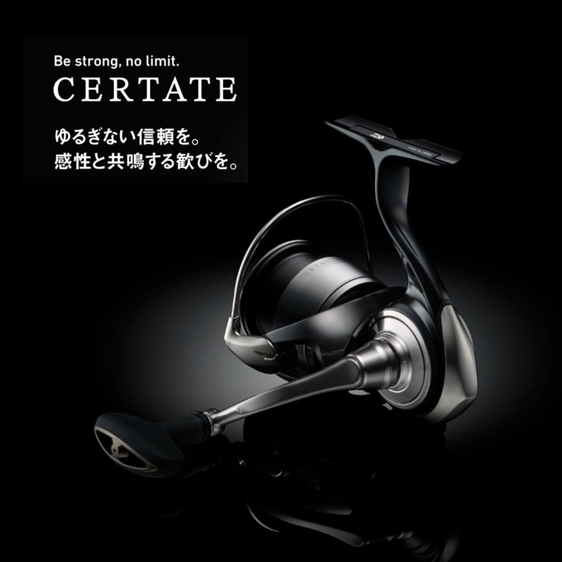 Daiwa 24 Celtate Spinning Reel, Various (2024 Model)