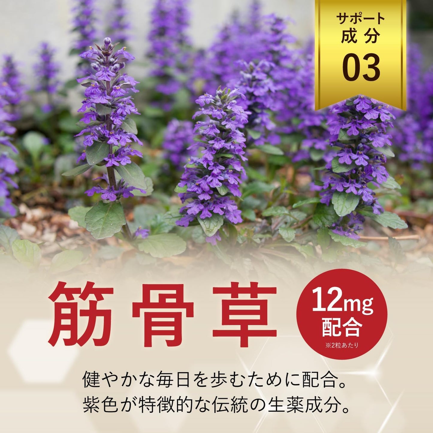 【Supervised by International Chinese Medicine Doctor】Joint Care Habit (1 Bag) 60 Tablets Functionally Marked Food N-Acetyl Glucosamine MSM Proteoglycan Muscle Bone Grass Knee Joint Domestically