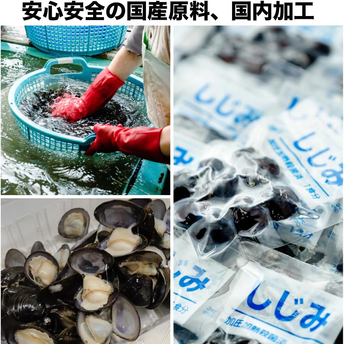 Aomori Prefecture-Produced Clam Miso Soup, 8 Servings, Shijimi-chan Honpo, Instant Miso Soup, Instant Clam Extract, Raw Miso Type, Retort, Domestic, with Seal