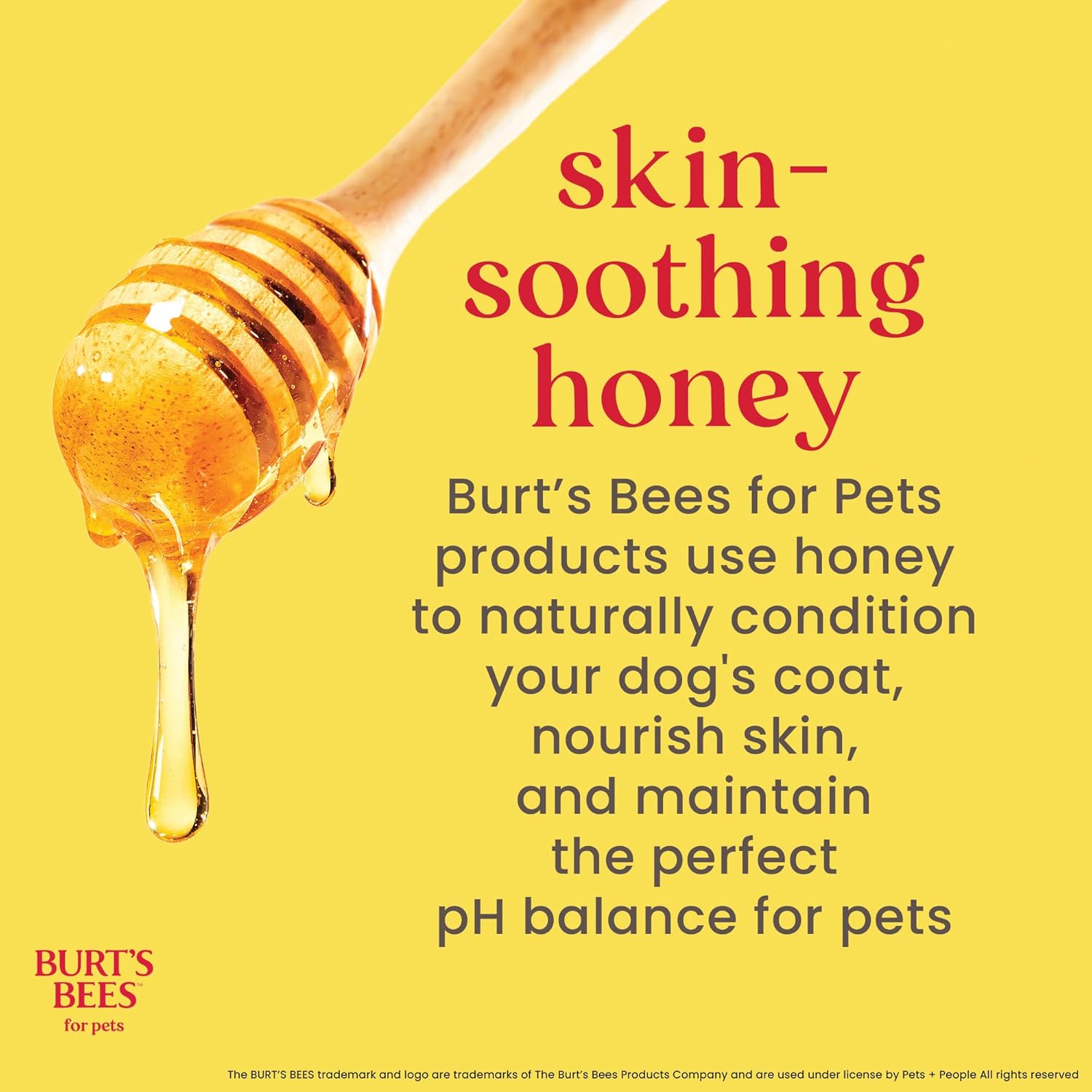 Burt's Bees for Pets Champú de avena para perros con harina de avena coloidal y miel, 2 unidades, fórmulas de origen 95% natural, champú para perros - 2 unidades, 32 onzas