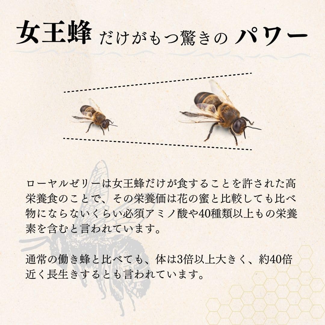 Royal Jelly, 100% Supplement (Tablets, Made in Japan, Approx. 1 Month Supply, 60 Capsules, Amino Acids, Vitamins, Minerals), Supplement Toyama