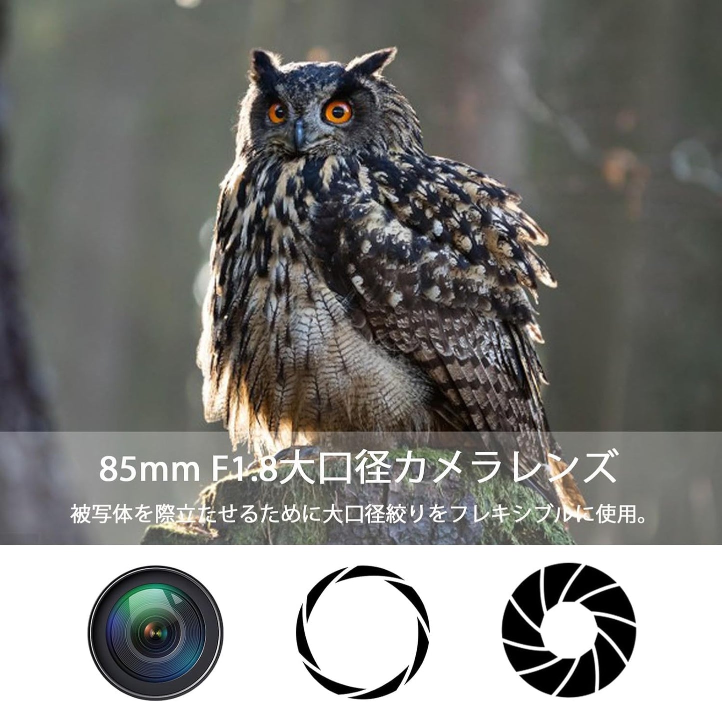 Lightdow for Canon EFレンズ 85mm F1.8 大口径レンズ単焦点 中望遠レンズ for Canon EOS Kiss X10i X10 X9i X9 X8i X7i X6i X5 X4 X3 X2 X70 90D 80D 70D 60D 6D 5D 250D Rebel T8i T7 T7i T3i一眼レフカメラレンズ