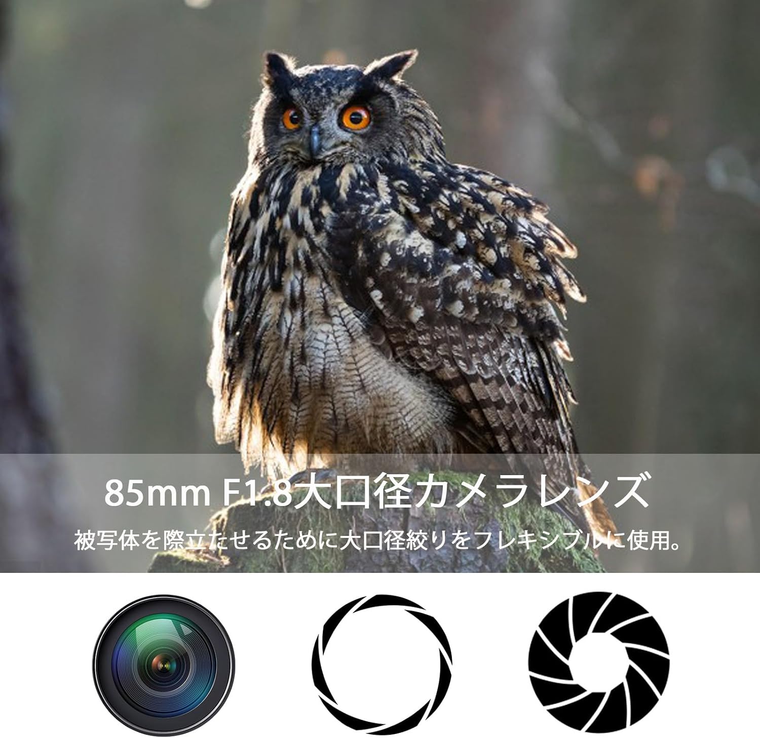 Lightdow for Canon EFレンズ 85mm F1.8 大口径レンズ単焦点 中望遠レンズ for Canon EOS Kiss X10i X10 X9i X9 X8i X7i X6i X5 X4 X3 X2 X70 90D 80D 70D 60D 6D 5D 250D Rebel T8i T7 T7i T3i一眼レフカメラレンズ