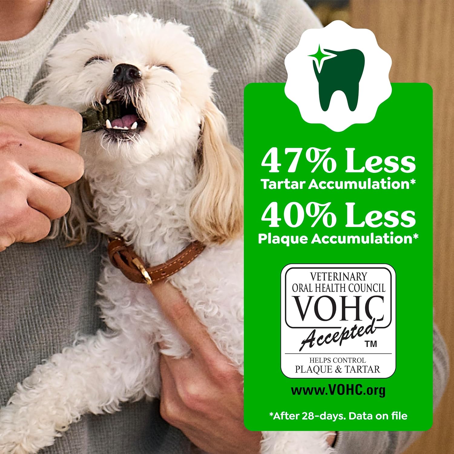 Greenies - Golosinas naturales para la salud dental de perros pequeños, sabor original, paquete de 36 onzas (60 unidades)